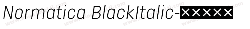 Normatica BlackItalic字体转换